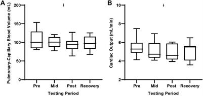 Influence of rapidly oscillating inspired O2 and N2 concentrations on pulmonary vascular function and lung fluid balance in healthy adults